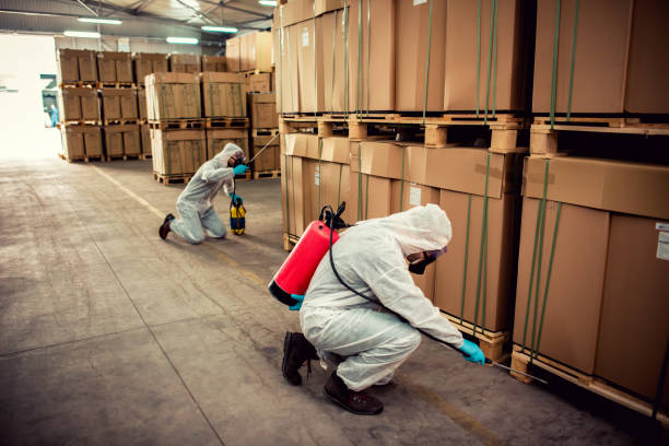 Best Wasp Removal Services  in Kingsley, MI