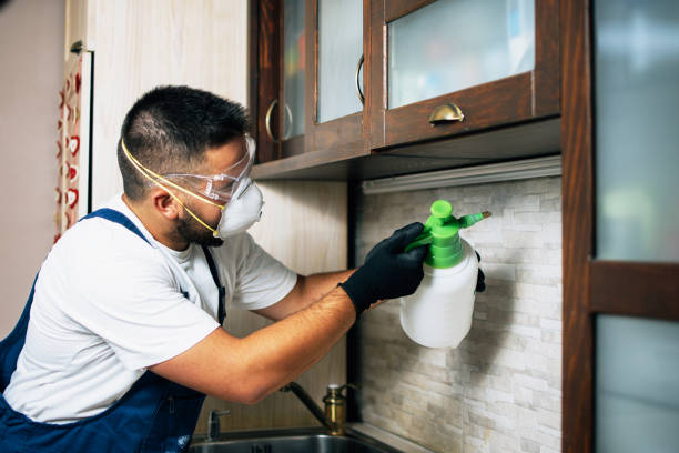 Best Insect Control  in Kingsley, MI