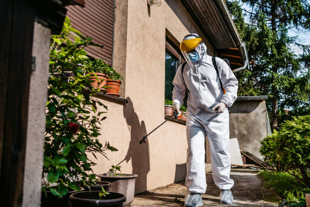 Best Rodent Control Near Me  in Kingsley, MI