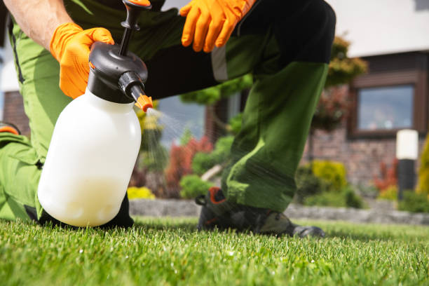 Best Pest Control Near Me  in Kingsley, MI