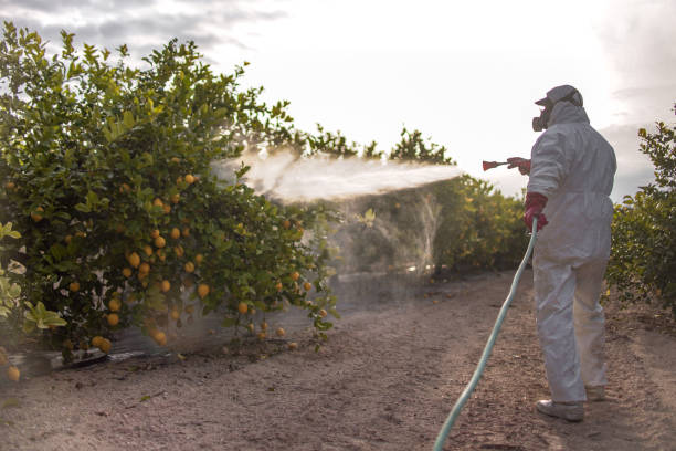 Best Pest Prevention Services  in Kingsley, MI