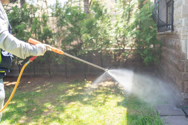 Best Flea Control Services  in Kingsley, MI