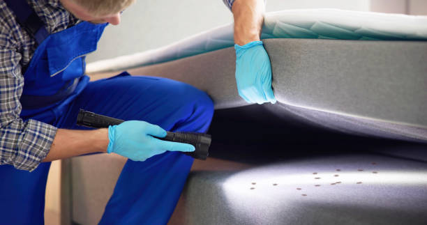 Best Emergency Pest Control  in Kingsley, MI