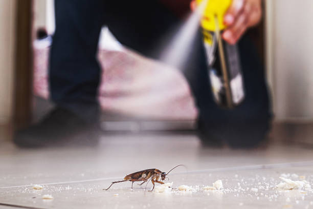 Best Ant Control Services  in Kingsley, MI