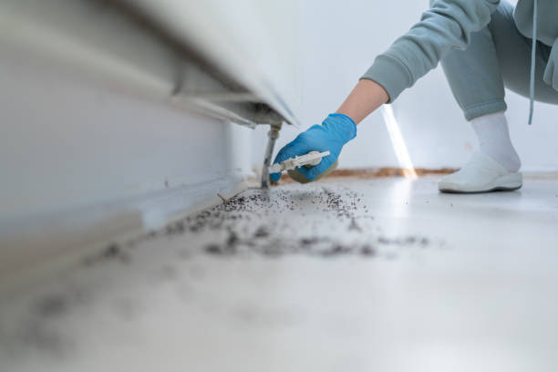 Best Cockroach Control Services  in Kingsley, MI